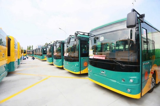 TP. Hồ Chí Minh: Đặt mục tiêu chuyển đổi xanh toàn bộ xe buýt vào năm 2030