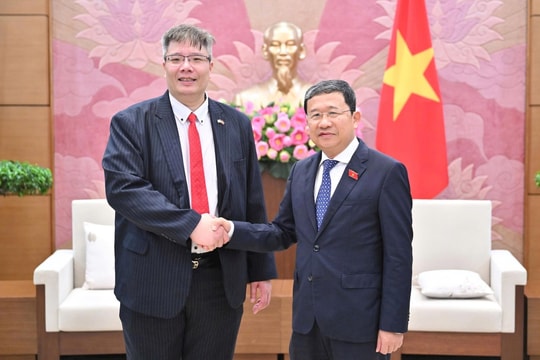 Phó Bí thư Đảng ủy Quốc hội Vũ Hải Hà tiếp Chủ tịch Hiệp hội Doanh nhân và đầu tư Việt Nam - Hàn Quốc