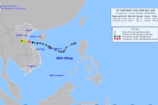 Bão số 6 NONGFA suy yếu thành áp thấp nhiệt đới, hướng vào đất liền khu vực Quảng Trị - Hà Tĩnh