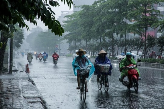 Dự báo thời tiết ngày 31/8: Mưa lớn diện rộng nhiều khu vực