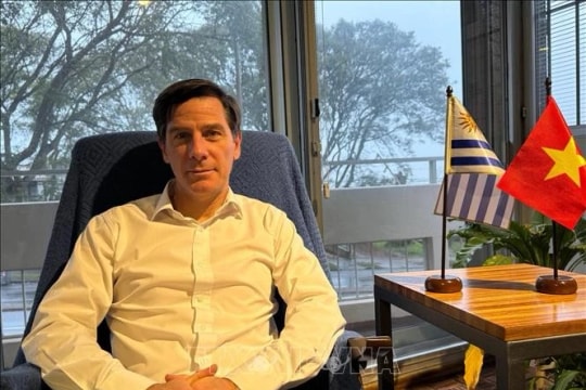 Vietnam makes great strides in development, integration: Uruguayan scholar