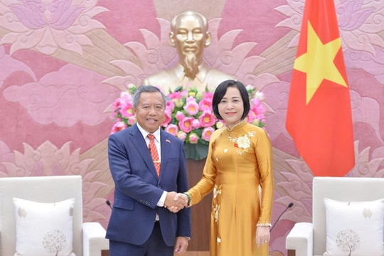 Phó Chủ tịch Quốc hội Nguyễn Thị Thanh tiếp Hội Hữu nghị Lào - Việt Nam