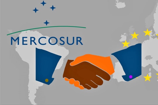Tại sao Hiệp định thương mại EU - Mercosur gây tranh cãi?