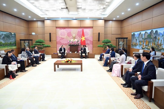 Việt Nam luôn coi trọng quan hệ truyền thống, hữu nghị với Venezuela