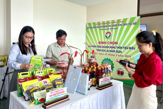 Đẩy mạnh ứng dụng công nghệ trong hoạt động bình chọn