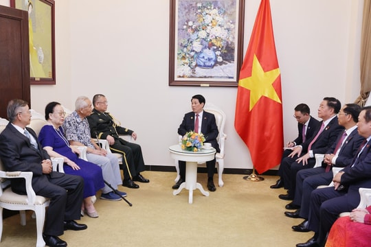 State President meets families of Chinese friends of Vietnam