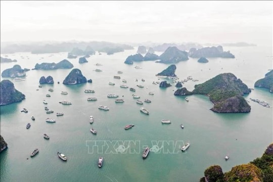 1,000 Ha Long Bay cruise tickets offered to revolution contributors