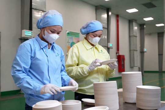 Nhãn sinh thái chờ sức bật từ chính sách