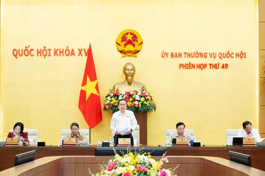 Xem xét thấu đáo, quyết định đúng đắn, khả thi, đáp ứng yêu cầu phát triển đất nước