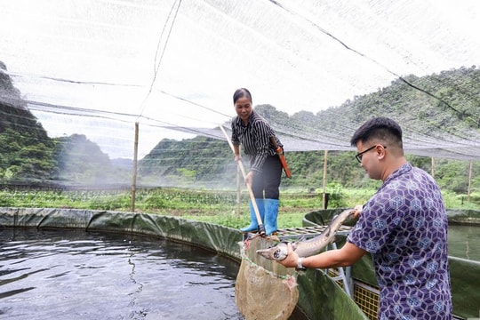 Khi “cần câu”, sinh kế được trao tay