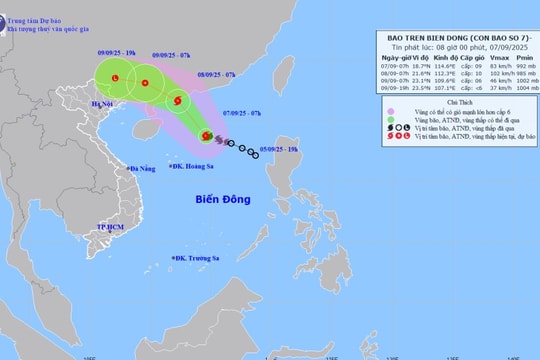Bão số 7 Tapah giật cấp 11, di chuyển trên khu vực Bắc Biển Đông