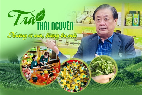 Trà Thái Nguyên - Hương vị xưa, tương lai mới