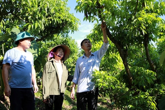 Bắc Ninh: Kiên định giảm nghèo bền vững