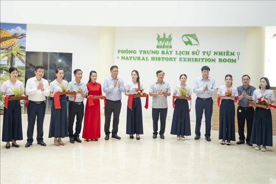 Khai trương Phòng trưng bày Lịch sử tự nhiên tại Phong Điền, Huế