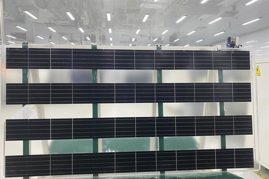 Vietnam launches first solar-agriculture project to enhance rural incomes