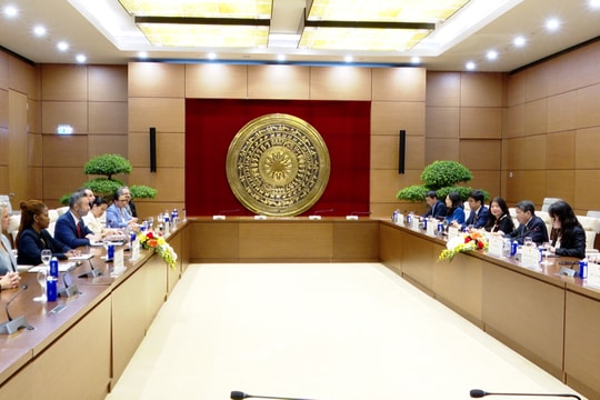 Phó Chủ tịch Quốc hội Nguyễn Đức Hải: Việt Nam coi Hoa Kỳ là một trong những đối tác chiến lược quan trọng hàng đầu