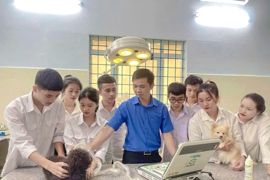 Đắk Lắk gắn đào tạo nghề với giải quyết việc làm bền vững