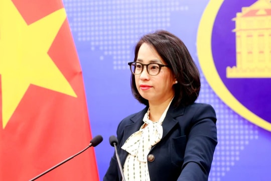 Vietnam ready to take citizen protection measures in Nepal, Qatar: Spokeswoman
