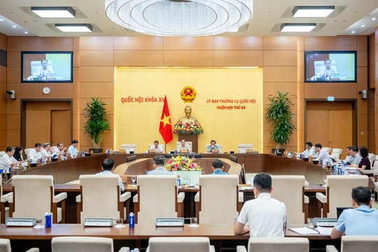 Nghiên cứu kỹ lưỡng các quy định về lệ phí, chi phí phục hồi, phá sản