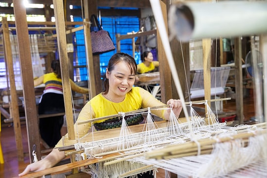 Hoạt động của Phòng giao dịch NHCSXH Hòa Bình (Phú Thọ): Bài cuối: Trái ngọt từ sự nỗ lực