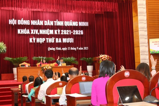 Đồng bộ hóa các quy định cho vận hành mô hình mới