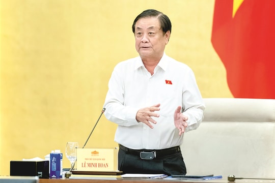 Tiếp tục thực hiện có hiệu quả chính sách, pháp luật về bảo vệ môi trường