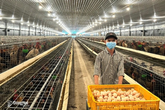 Chuỗi liên kết khép kín, định hướng xuất khẩu