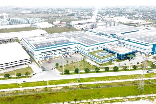 Nghệ An: Thu hồi gần 150 ha đất trồng lúa để triển khai khu công nghiệp