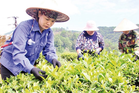 Lạng Sơn đầu tư hạ tầng thiết yếu, nhân rộng mô hình giảm nghèo điển hình