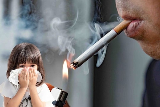 Hà Tĩnh: Đảm bảo việc thực hiện nghiêm Luật phòng, chống tác hại của thuốc lá