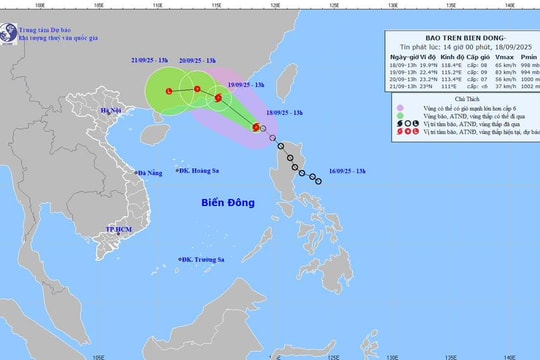 Áp thấp nhiệt đới đã mạnh lên thành bão bão số 8 Mitag