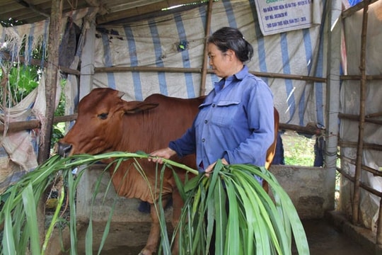 "Trợ lực" cho nông dân chuyển đổi sản xuất, ứng dụng khoa học công nghệ hiện đại