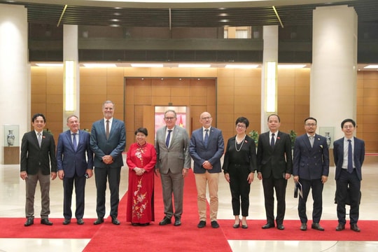 Chủ tịch Nhóm Nghị sĩ hữu nghị Việt Nam - Pháp Nguyễn Thúy Anh hội đàm với Nhóm Nghị sĩ hữu nghị Pháp - Việt