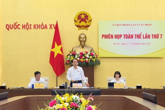 Đổi mới toàn diện Luật Viên chức, tạo liên thông nhân lực công – tư