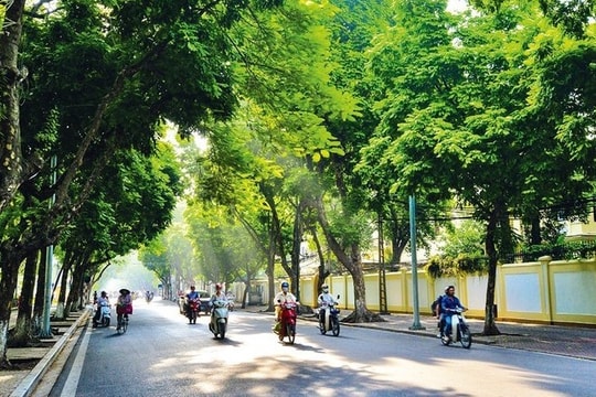 Dự báo thời tiết ngày 19/9: Mưa dông nhiều khu vực, Hà Nội có nắng gián đoạn