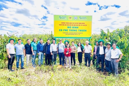 Định hướng phát triển bền vững trong bối cảnh biến đổi khí hậu