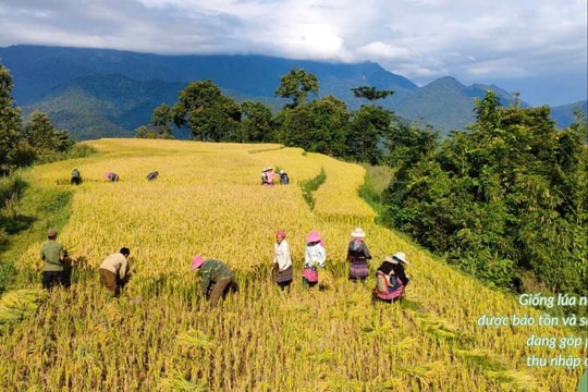 Bài cuối: Tiếp tục là "điểm sáng" trong giảm nghèo
