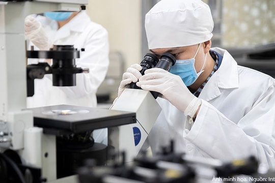 Nhiều nhà khoa học Việt Nam vào top 10.000 nhà khoa học có tầm ảnh hưởng nhất thế giới năm 2025