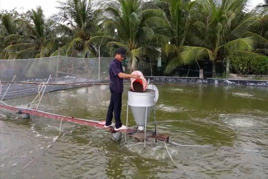 Tây Ninh: Quyết tâm xóa đói giảm nghèo, không để tái nghèo
