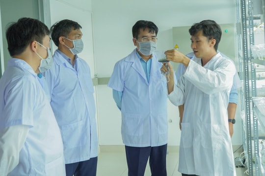 PVCFC đẩy mạnh đầu tư, nghiên cứu phát triển năng lực lõi