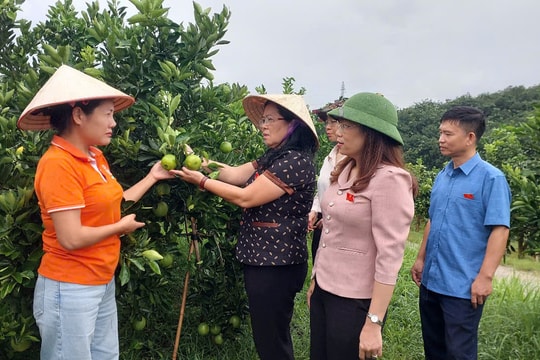 Cần chính sách để các nhiệm vụ nghiên cứu đi vào đời sống