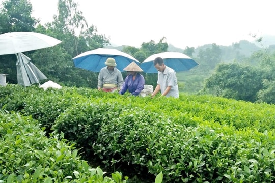 Ban hành chuẩn nghèo đa chiều, hướng tới phát triển bền vững và toàn diện
