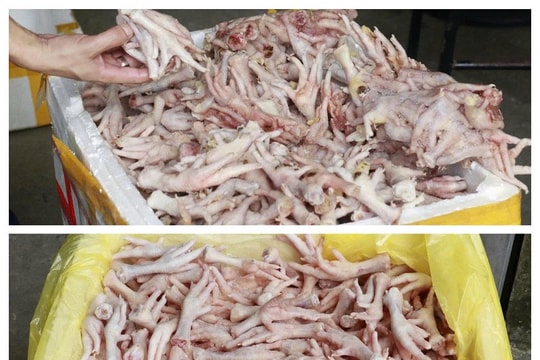 Nghệ An: Phát hiện số lượng lớn thực phẩm đông lạnh không rõ nguồn gốc