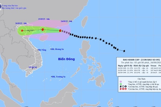 Cập nhật: Siêu bão số 9 Ragasa cách Móng Cái (Quảng Ninh) khoảng 650km về phía Đông