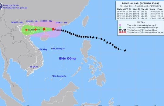Cập nhật: Bão số 9 RAGASA cách Móng Cái (Quảng Ninh) khoảng 450km về phía Đông, giật cấp 16