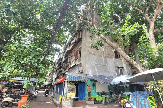 TP. Hồ Chí Minh: Triển khai ưu đãi, hỗ trợ chủ đầu tư tham gia cải tạo, xây dựng lại chung cư cũ
