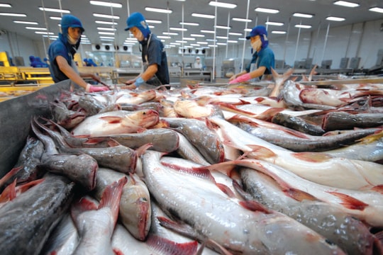 Ngân hàng Nhà nước nâng quy mô tín dụng nông, lâm, thủy sản lên 185.000 tỷ đồng