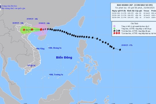 Cập nhật: Bão số 9 Ragasa giật cấp 10, cách Móng Cái (Quảng Ninh) khoảng 100km