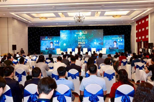 Cố vấn tài chính chuyên nghiệp tạo sự ổn định cho hệ thống