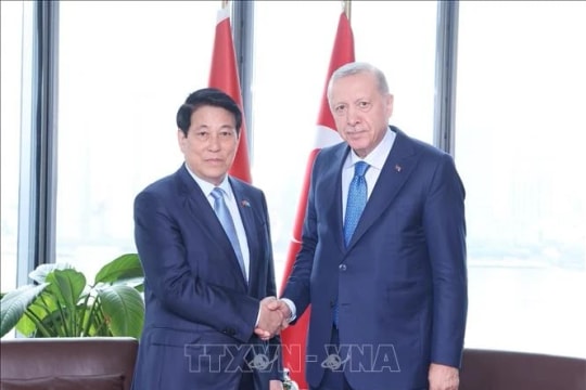 Türkiye regards Vietnam as key Asian partner: President Erdoğan
